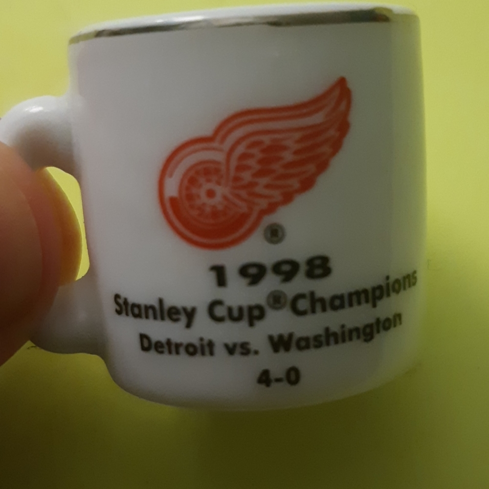 NHL 1998 tiny Detroit Red wings champ| 9.5/10